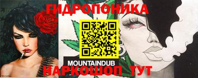 эйфоретик Беслан