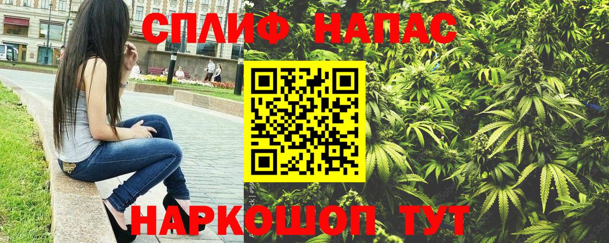 Каннабис гибрид Кимовск